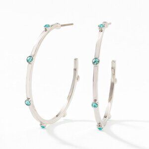 Curve Appeal Earrings ~ Touchstone‎ Crystal by Swarovski